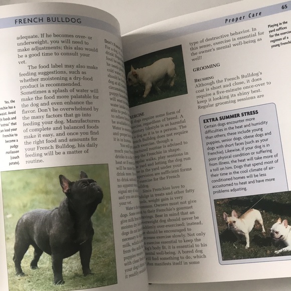 French Bulldog Book - Picture 5 of 6
